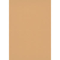 Tapetes Flizelīna ERISMANN 6721-04