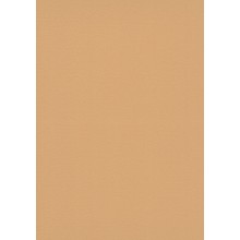 Обои Флизелиновые ERISMANN 6721-04