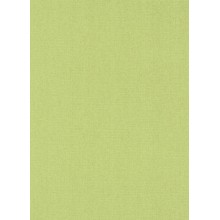 Tapetes Flizelīna ERISMANN 6771-35