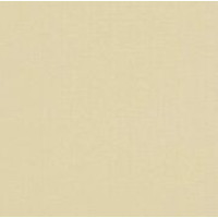 Tapetes Flizelīna ERISMANN 9700-25 Tapetes Flizelīna ERISMANN 9700-25