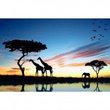 Fototapetes  Vakars Savanna       